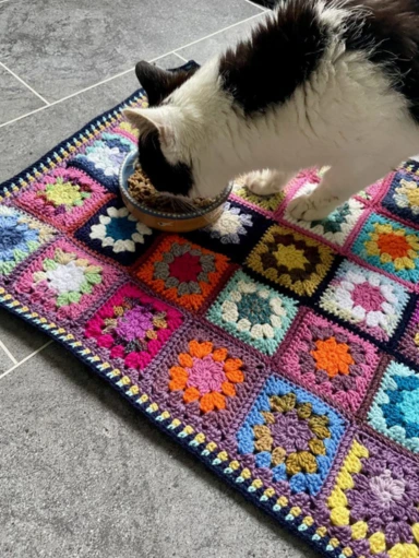 black and white cat on multi coloured crochet blanket