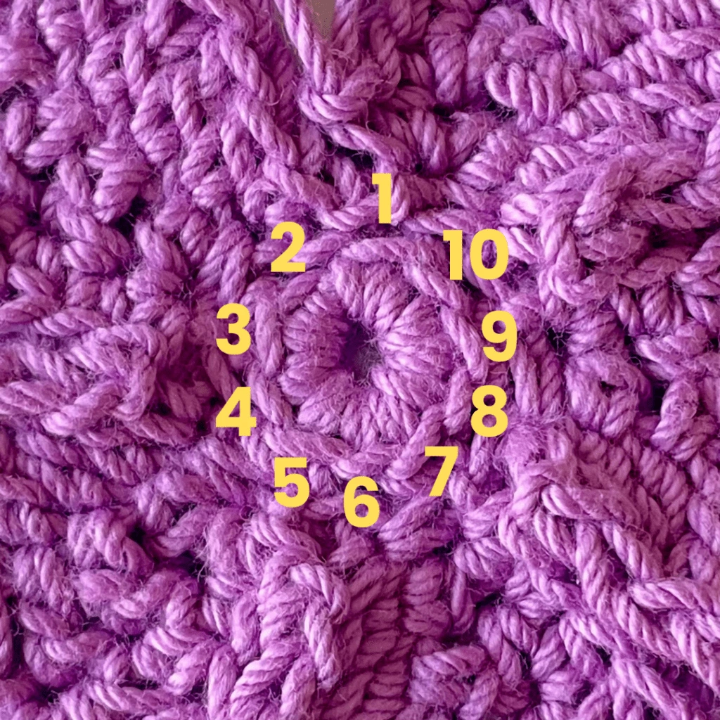 Crochet Hibiscus Flower Fig 4
