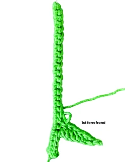 crochet fern leaf fig 1